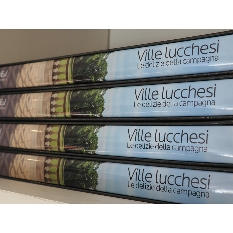 Libro Ville Lucchesi - Publied 2015