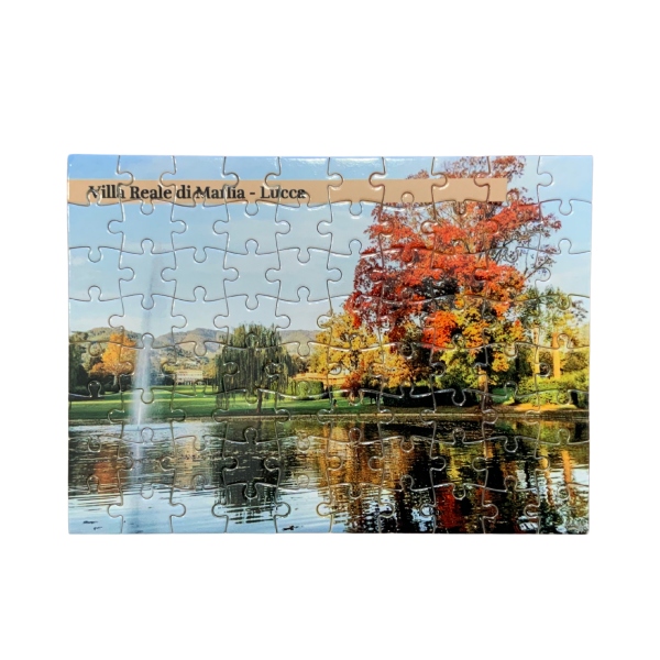 Puzzle 80 pezzi VR